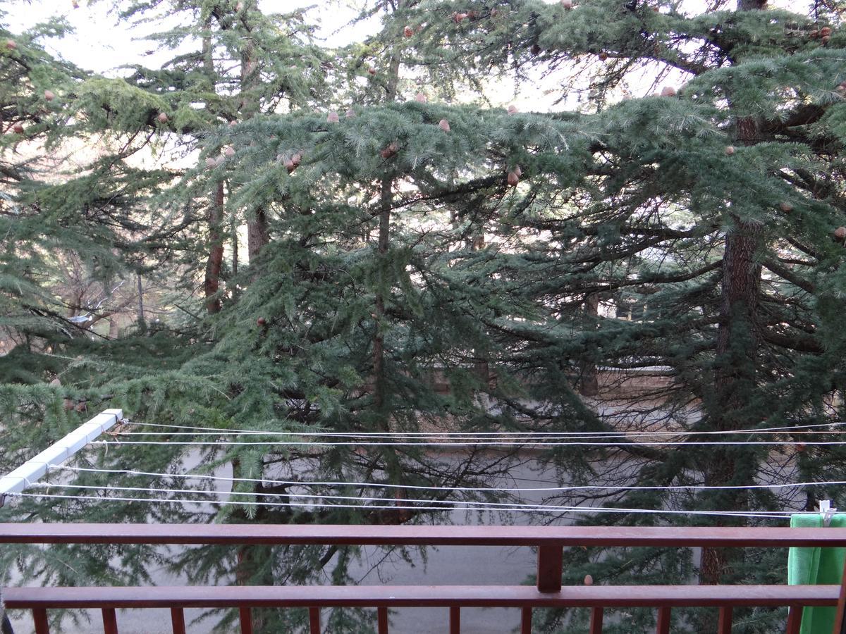 Dilijan Apartment Exterior foto